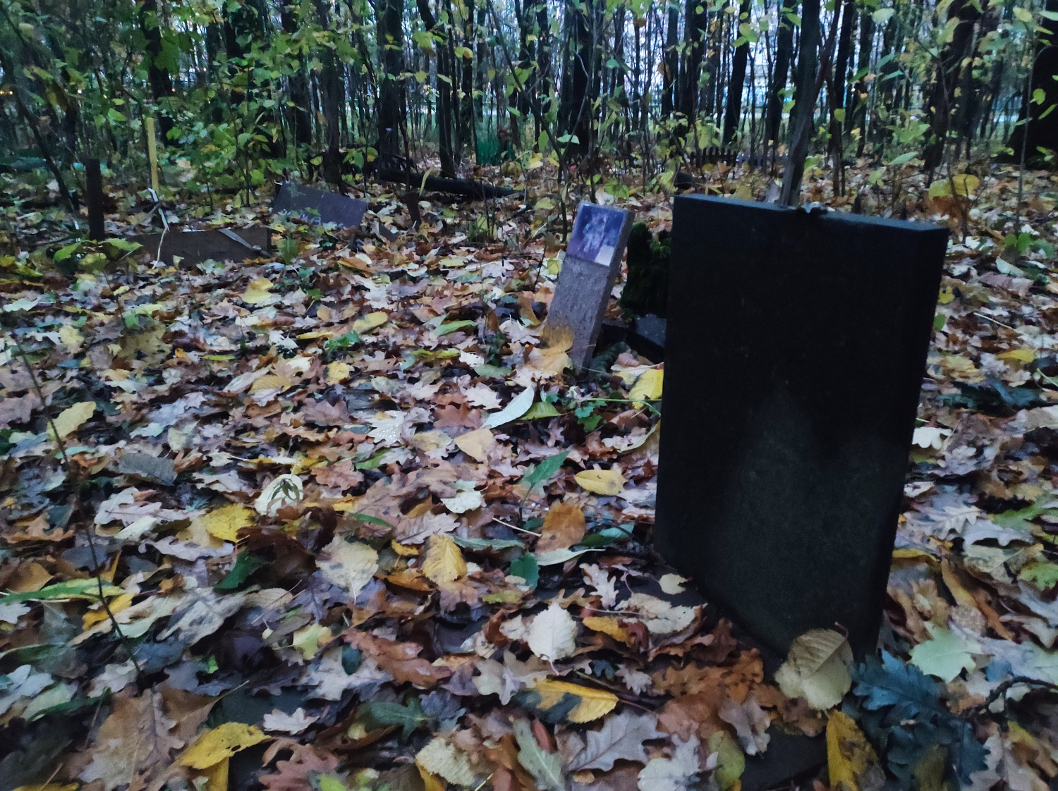 Есть ли в Минске кладбище для домашних животных?