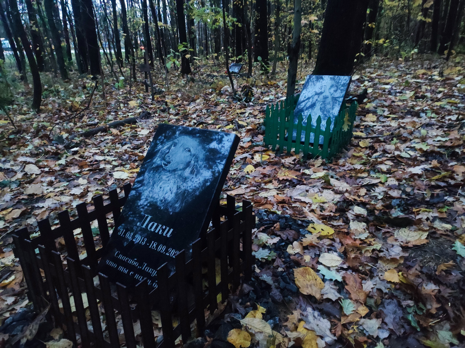 Есть ли в Минске кладбище для домашних животных?