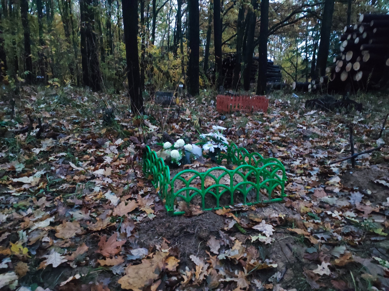 Есть ли в Минске кладбище для домашних животных?