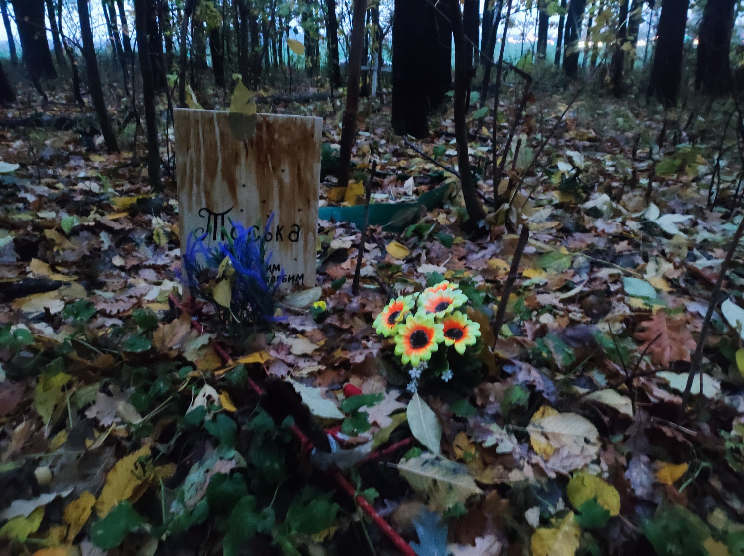 Есть ли в Минске кладбище для домашних животных?